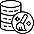 icon-data-cleaning